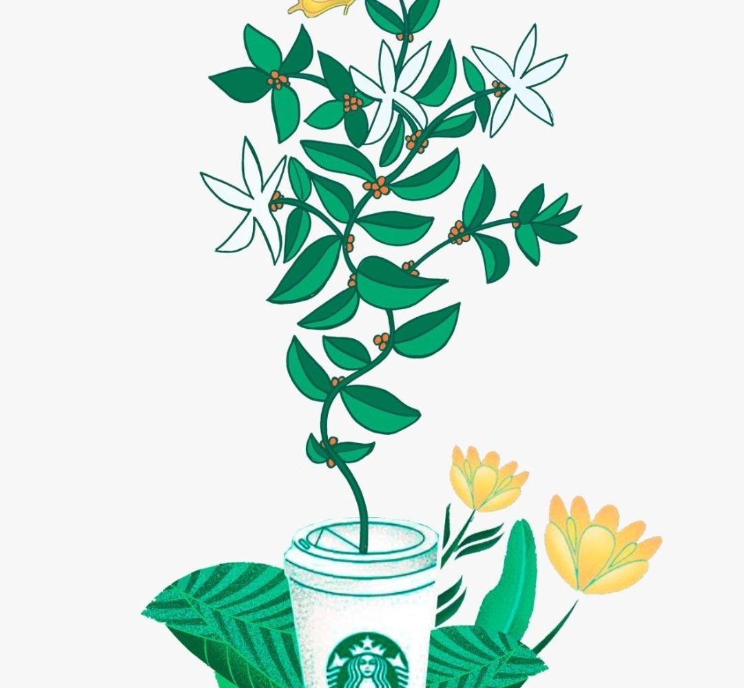 Starbucks Cono Sur celebra el Día Internacional del Café de una forma artística y sostenible