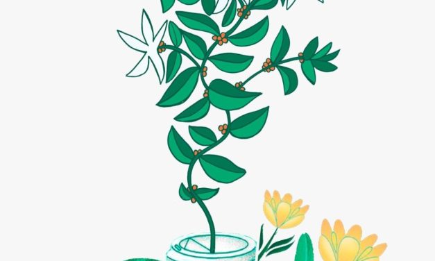 Starbucks Cono Sur celebra el Día Internacional del Café de una forma artística y sostenible